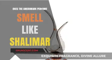 Amerimark Perfume: Shalimar's Affordable Twin?
