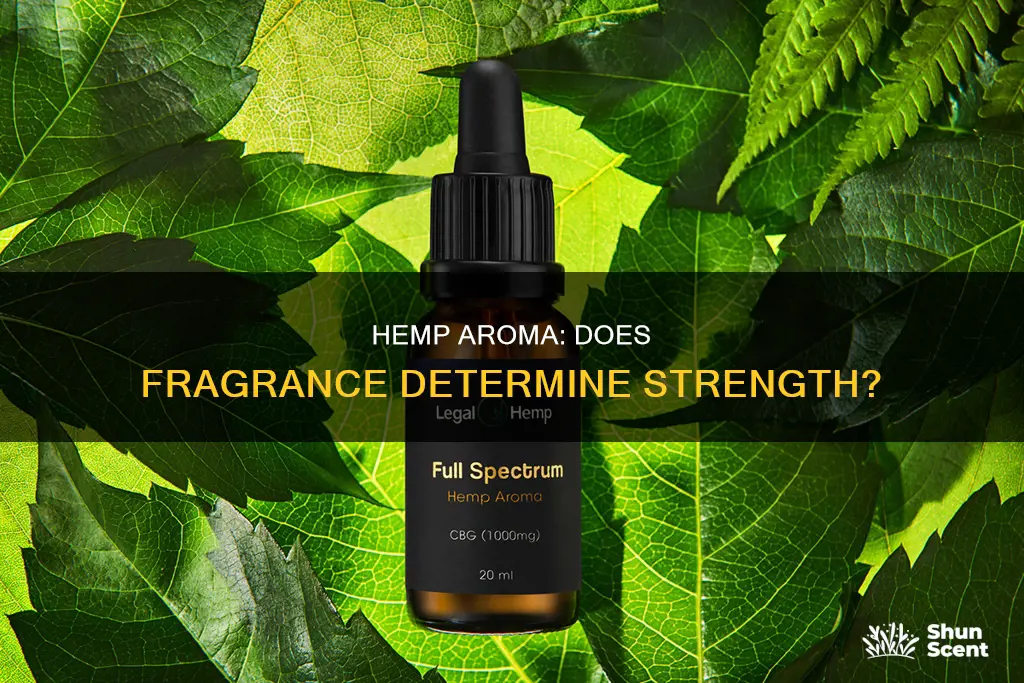 does the aroma of the hemp plant determine the strength