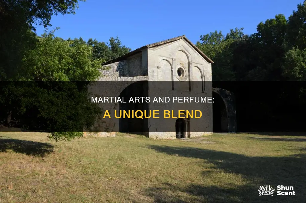 does the band perfume know martial arts