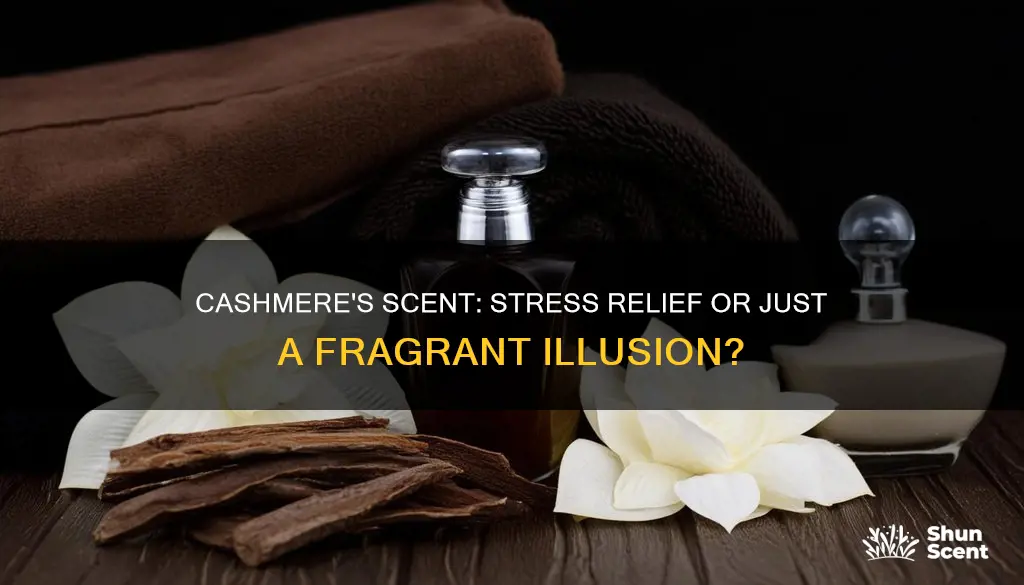 does the fragrance of cashmere relieve stress