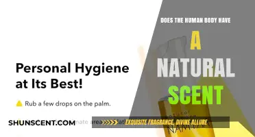 Exploring the Natural Scent of the Human Body: Fact or Fiction?
