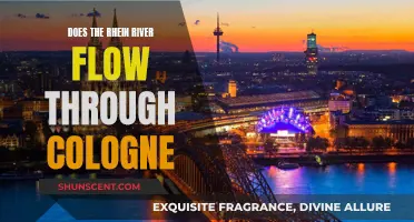 Exploring Cologne: Rhein River's Historic Flow