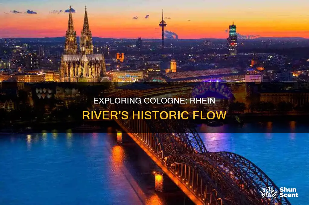 does the rhein river flow through cologne