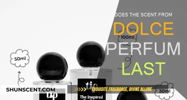 How Long Does Dolce Perfume's Scent Endure?