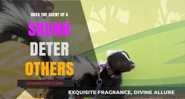 Does Skunk Spray Deter Predators and Protect Them Effectively?