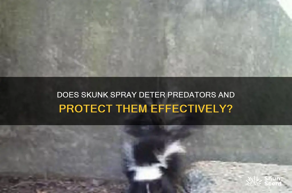 does the scent of a skunk deter others