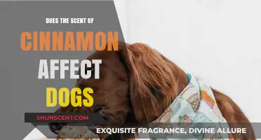 Can Cinnamon's Aroma Impact Dogs? Exploring the Scent's Effects