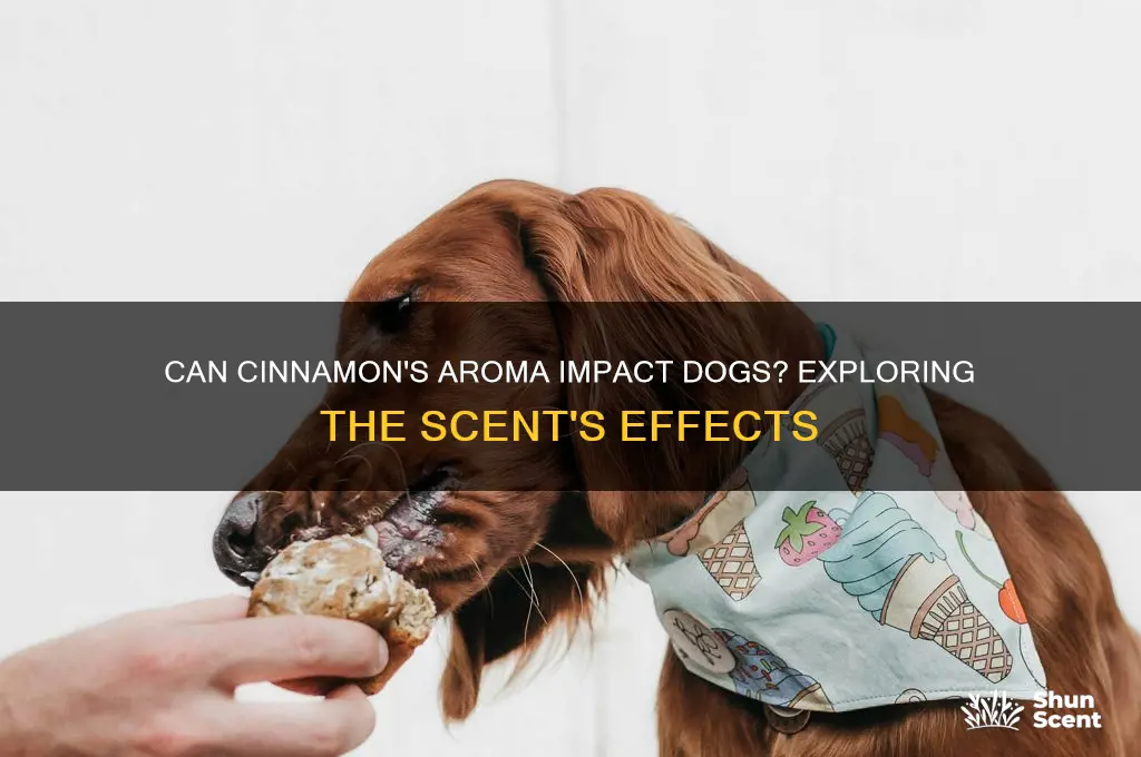 does the scent of cinnamon affect dogs