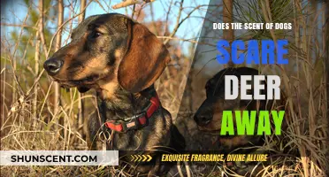 Canine Scents: Do Dog Odors Deter Deer in the Wild?