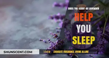 Lavender's Soothing Aroma: Unlocking Better Sleep and Relaxation Naturally