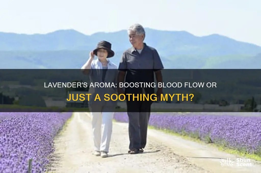 does the scent of lavender increase blood flow