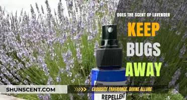 Lavender's Bug-Repelling Power: Fact or Fiction? Unveiling the Truth