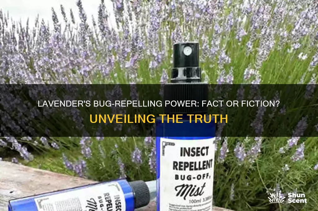 does the scent of lavender keep bugs away