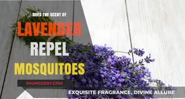 Lavender's Mosquito-Repelling Power: Fact or Fiction? Unveiling the Truth