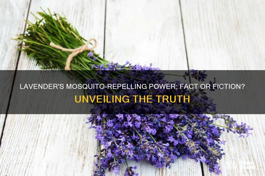 does the scent of lavender repel mosquitoes