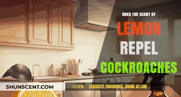 Can Lemon Scent Effectively Deter Cockroaches? A Natural Pest Solution