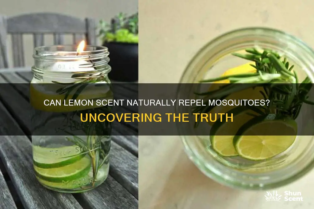 does the scent of lemon repel mosquitoes