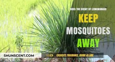 Lemongrass Scent: Effective Mosquito Repellent or Just a Myth?