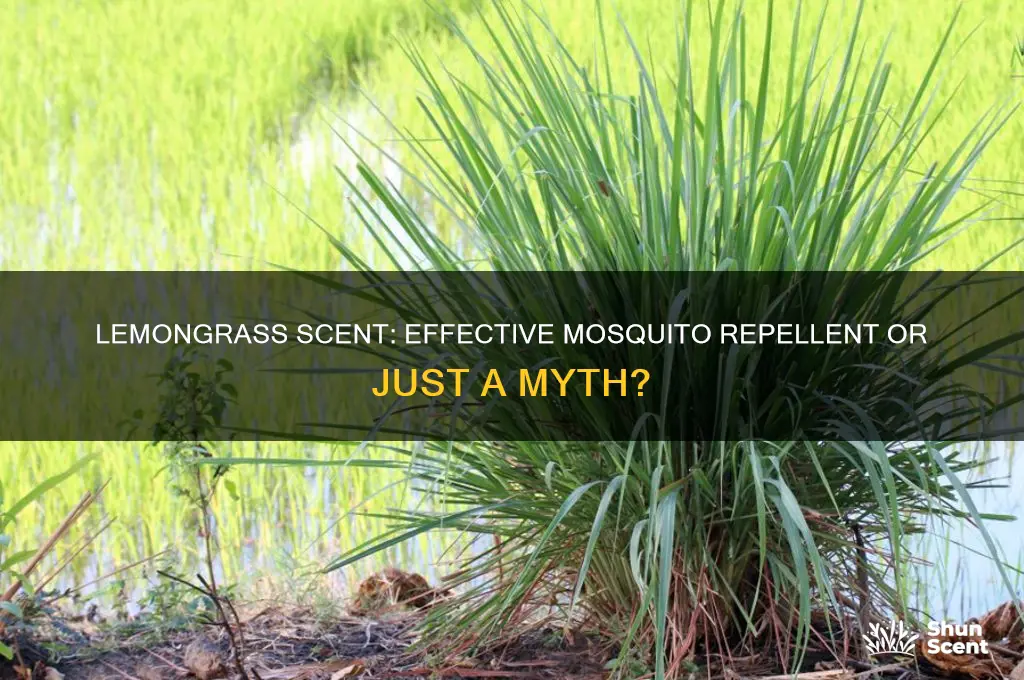 does the scent of lemongrass keep mosquitoes away