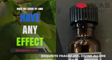 The Surprising Effects of Lime Scent on Mood and Mind