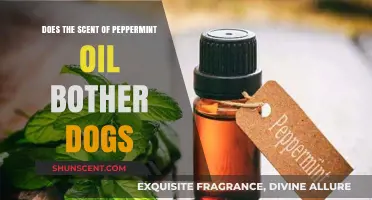 Peppermint Oil and Dogs: Is the Scent a Bother to Them?