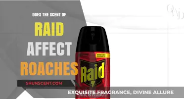 Does Raid's Scent Repel or Attract Roaches? Uncovering the Truth