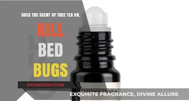 Can Tea Tree Oil's Aroma Effectively Eliminate Bed Bugs?