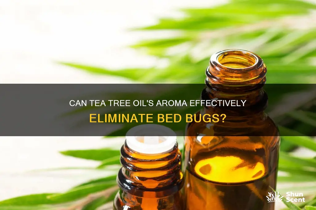 does the scent of tree tea oil kill bed bugs