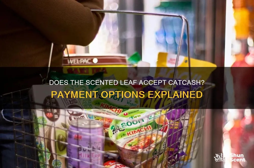 does the scented leaf accept catcash