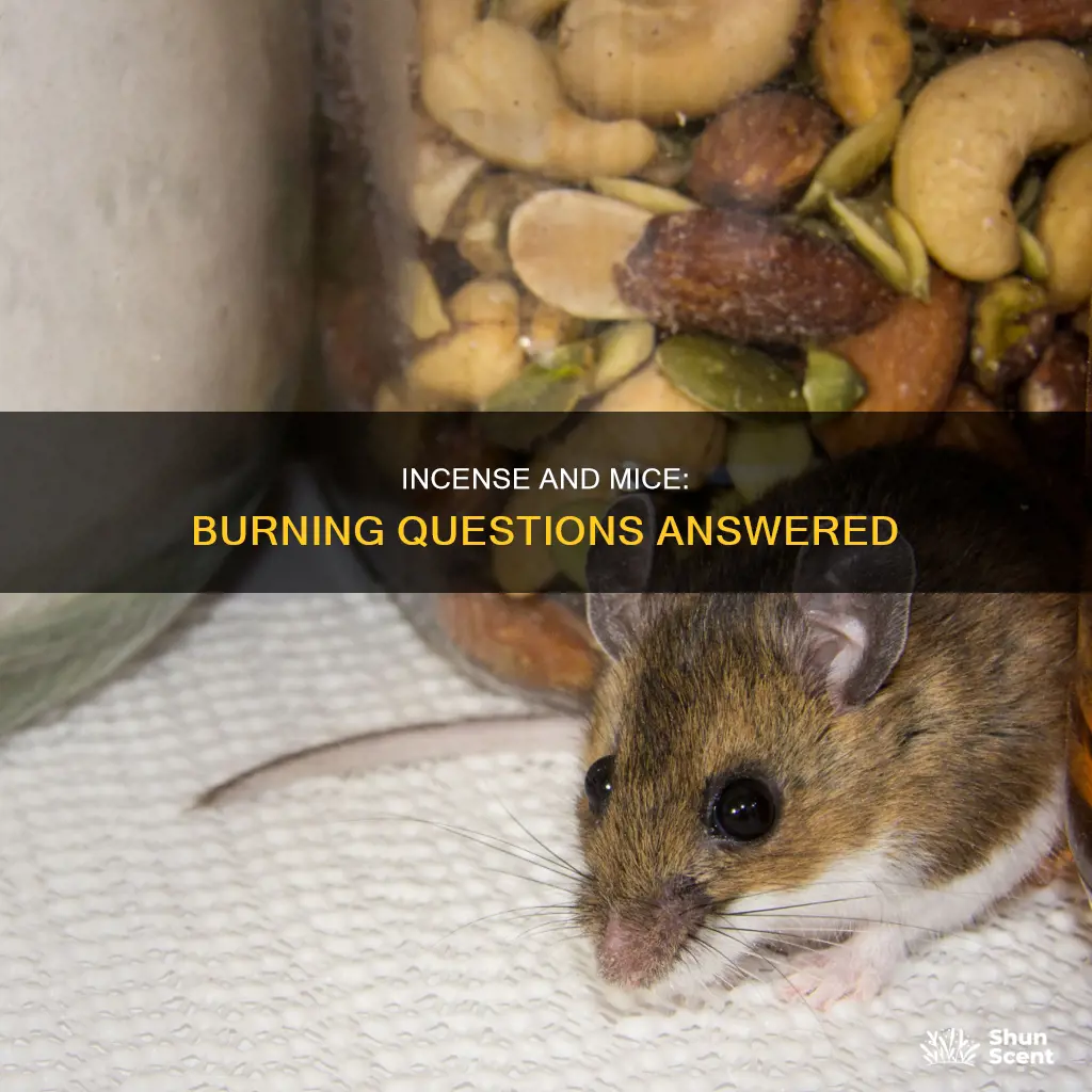 does the smell of burning incense deter mice