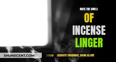 Incense Scents: Lingering Fragrance or Quick Burnout?