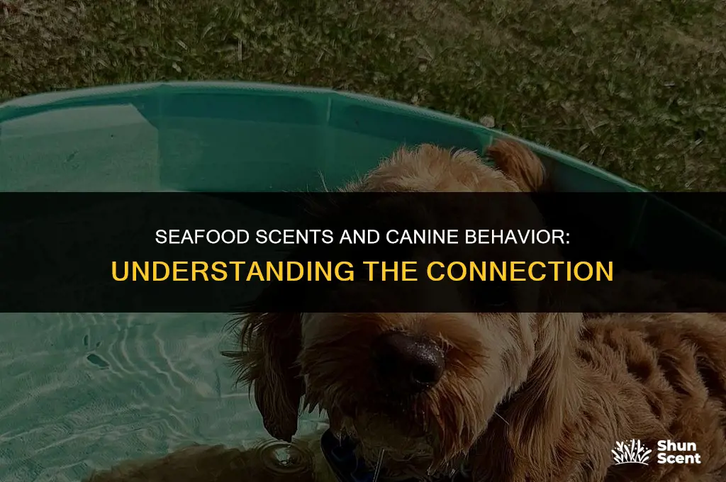 does the smell of seafood cause dogs to pee