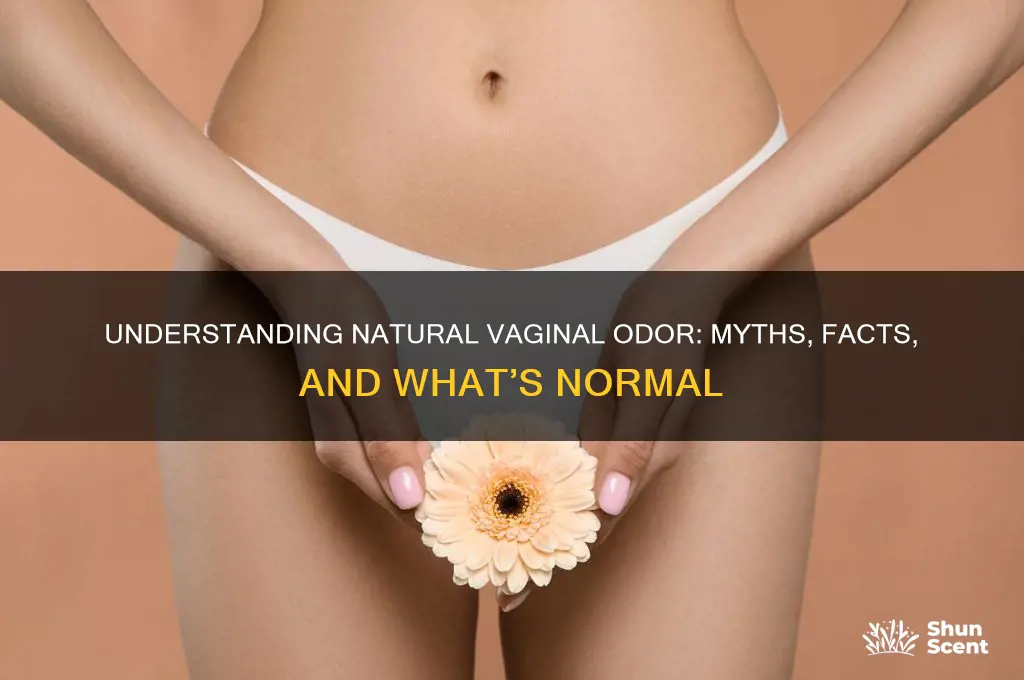 does the vagina have a scent