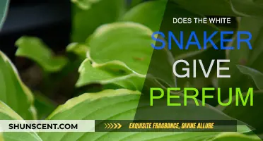 Scented Secrets: White Snakeroot's Perfume Power
