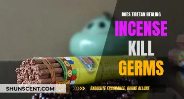 Tibetan Incense: Ancient Healer, Germ Killer?