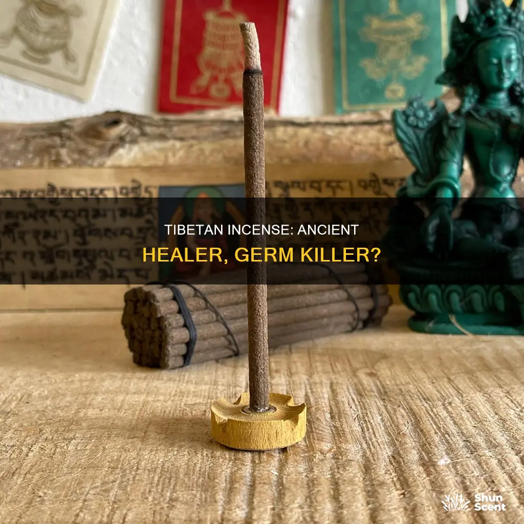does tibetan healing incense kill germs