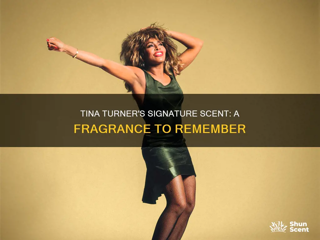 does tina turner have a fragrance