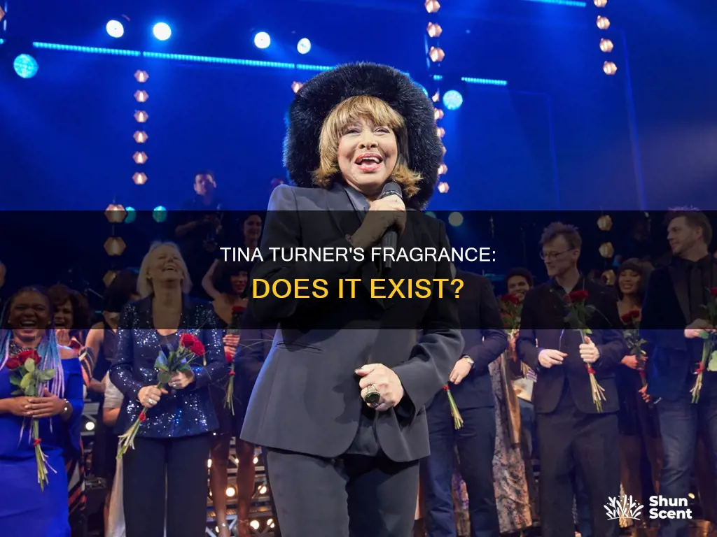 does tina turner have a perfume
