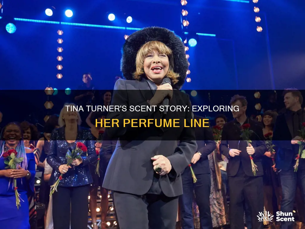 does tina turnet have perfume linr