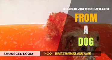 Skunk Odor Be Gone: The Tomato Juice Myth Busted