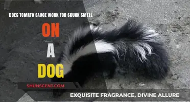 Skunk Spray on Your Pup? Tomato Sauce to the Rescue!