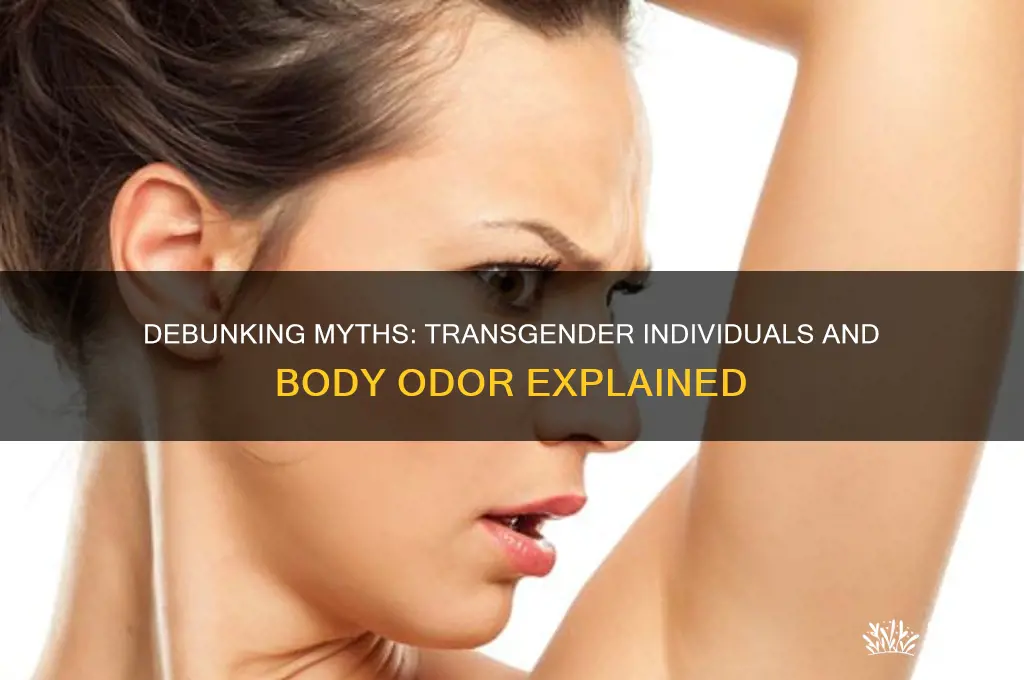 does transgender have strong scent