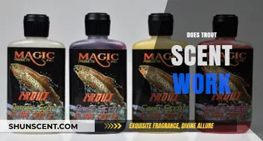 Does Trout Scent Really Work? Unlocking the Truth for Anglers