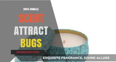 Does Vanilla Scent Attract Bugs? Uncovering the Truth Behind the Myth