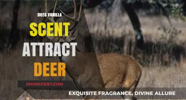 Vanilla Scent and Deer: Uncovering the Truth Behind the Attraction