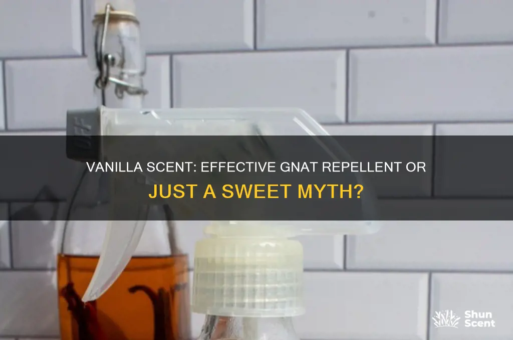 does vanilla scent keep gnats away