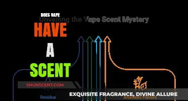 Does Vaping Have a Scent? Exploring the Aromatic Truth