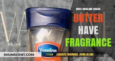 Vaseline Cocoa Butter: Fragrance-Free or Not? Unveiling the Truth