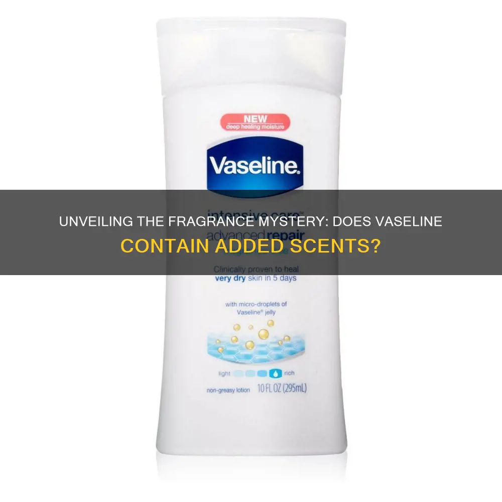 does vaseline have fragrance