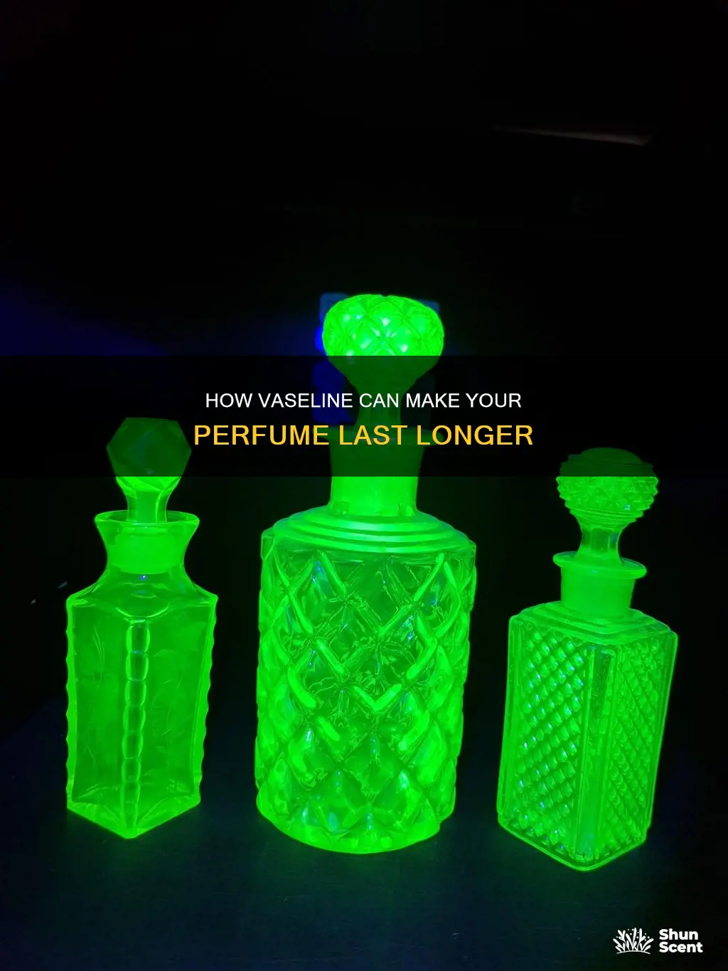does vaseline make perfume last longer